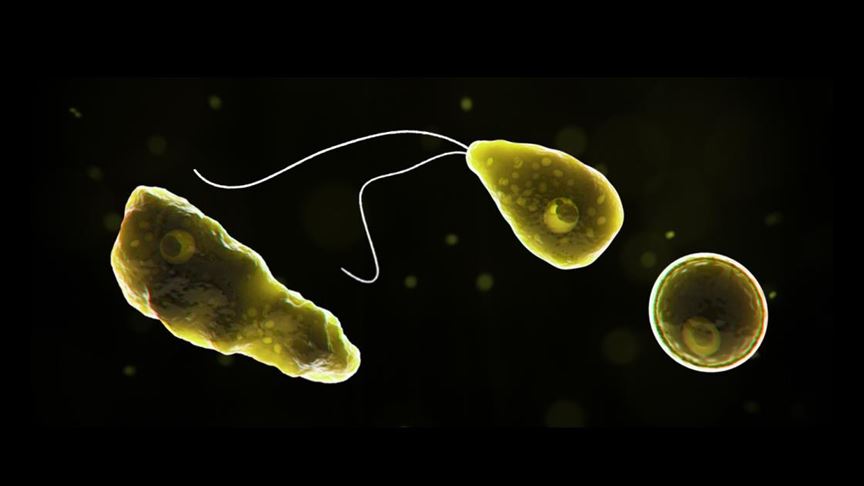 Hindistan’da ‘PAM’ nedeniyle 19 kişi hayatını kaybetti Hindistan’da ‘PAM’ nedeniyle 19 kişi hayatını kaybetti