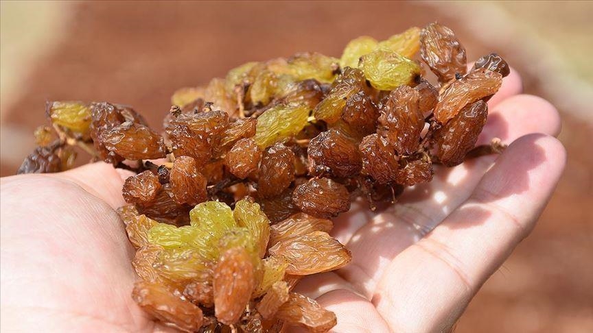 Kuru üzüm alım fiyatı 2025 ne kadar? Kuru üzüm alım fiyatı 2025 ne kadar?