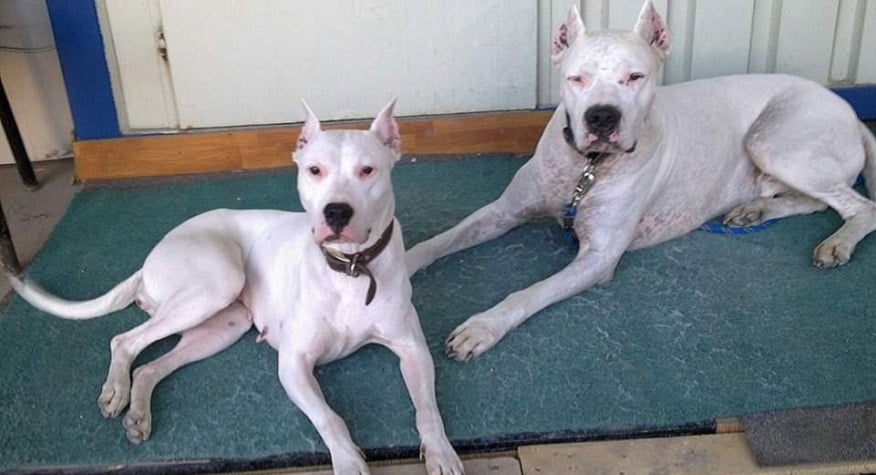 Hayatımın En Güzel 10 Yılı Hayatımın En Güzel 10 Yılı