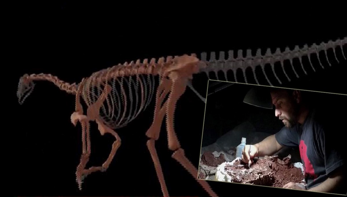 En eski dinozorun kemikleri bulundu En eski dinozorun kemikleri bulundu