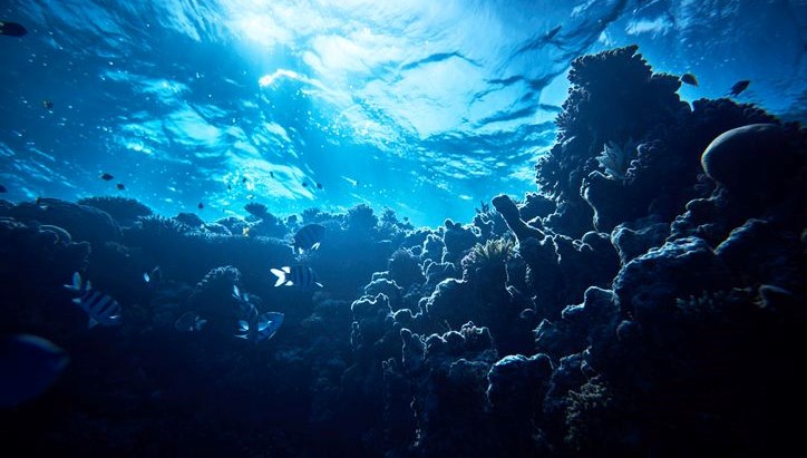 Okyanusun altından sızıyor: Antarktika’da şaşırtan keşif Okyanusun altından sızıyor: Antarktika’da şaşırtan keşif