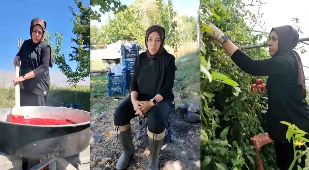 Erzincan’da Kadın Girişimciye Devlet Desteğiyle Sera Kurdu Erzincan’da Kadın Girişimciye Devlet Desteğiyle Sera Kurdu