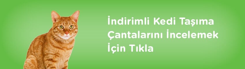 Kedi Kafesi Ne İşe Yarar? Kedi Kafesi Ne İşe Yarar?