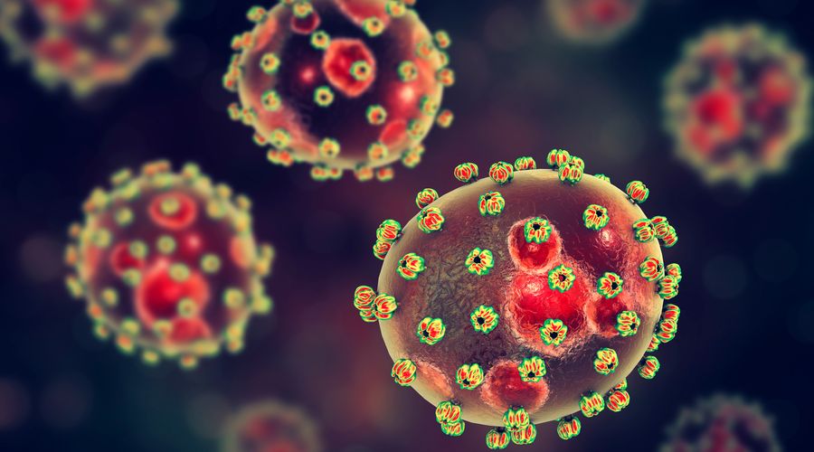 Nijerya’da ‘Lassa Ateşi’ salgını: Can kaybı 166’ya yükseldi Nijerya’da ‘Lassa Ateşi’ salgını: Can kaybı 166’ya yükseldi