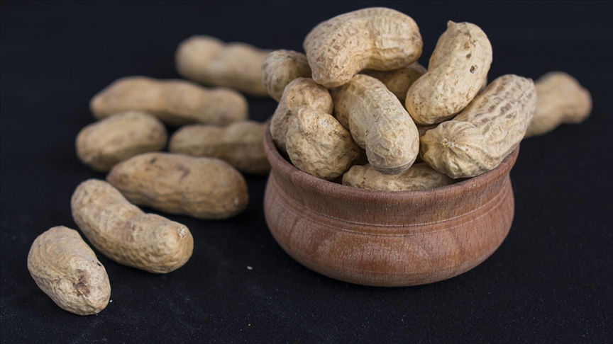 Araştırma: Yer fıstığı erken yaşta yenirse alerji gelişimi önlenebilir Araştırma: Yer fıstığı erken yaşta yenirse alerji gelişimi önlenebilir