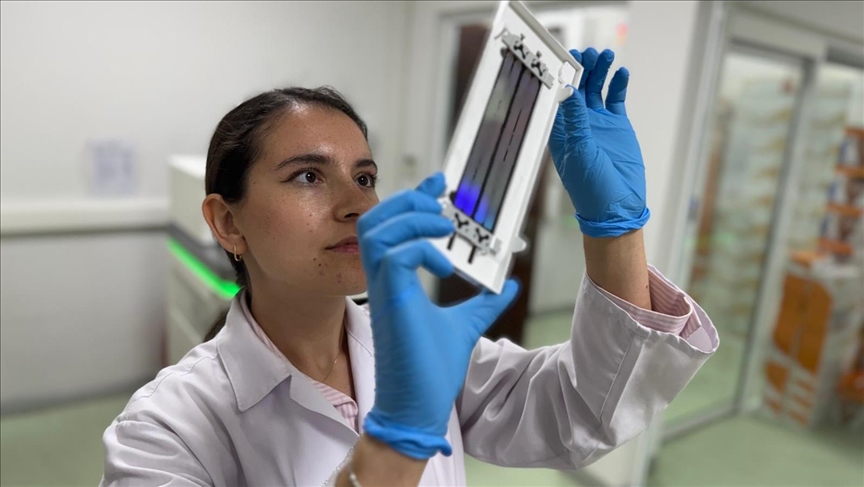 Türk Bilim İnsanları Akciğer Kanserinde 12 Gen Tespit Etti Türk Bilim İnsanları Akciğer Kanserinde 12 Gen Tespit Etti