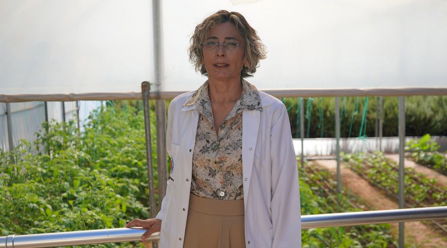 Ruhsal Hastalıklarla Toplum Temelli Mücadele Yöntemleri Ruhsal Hastalıklarla Toplum Temelli Mücadele Yöntemleri